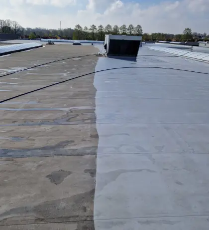 Reinigen PVC dak Oisterwijk